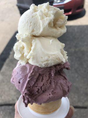 Medium vanilla bean and black raspberry