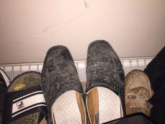 Mold Growth Closet On Shoes