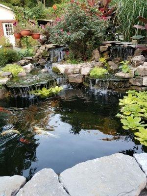 Pond, redesigned by Economy aquatics a couple years ago. Stunning every season. (We did the landscaping)