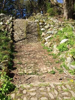 Exercise ramps and stairs