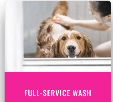 In most cases, our experts will shampoo and condition the coat, clip nails, clean ears, brush hair, and mouthwash in two hours or less.