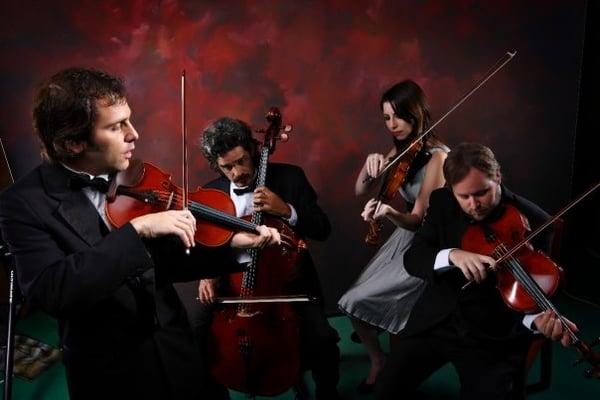 Strings Attached Quartet