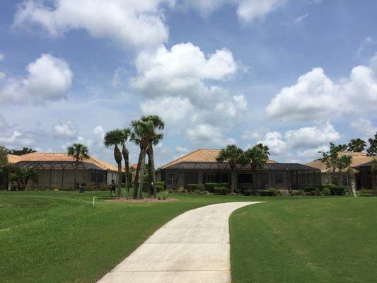 After! Palms Trimmed on the Golf Course!