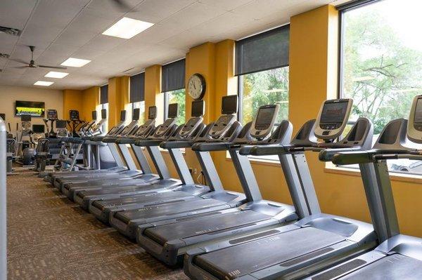 Lots of new cardio! Treadmills, ellipticals, AMTs, stair climbers and bikes.