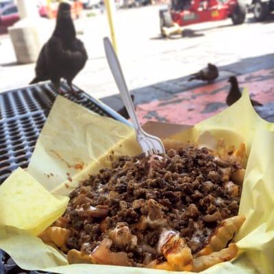 Steak Super Fries, $7.50 -- LIL BETTER THAN DECENT