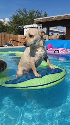 Jordan enjoying pool time.