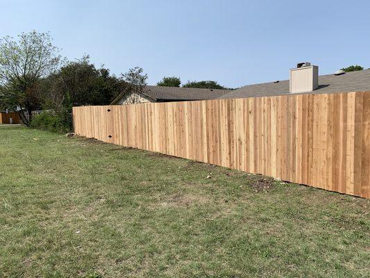 Fencing (after)