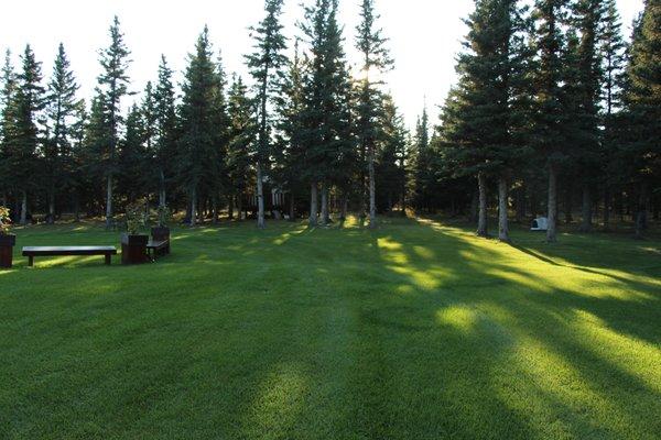 Denali Dome Home has private lawns and gardens