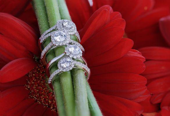 A selection of engagement rings.