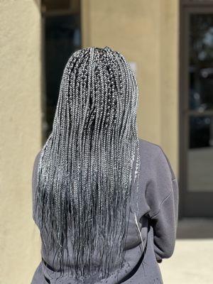 Alivia's beautiful gray braids!