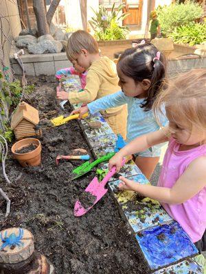 Summer gardening!