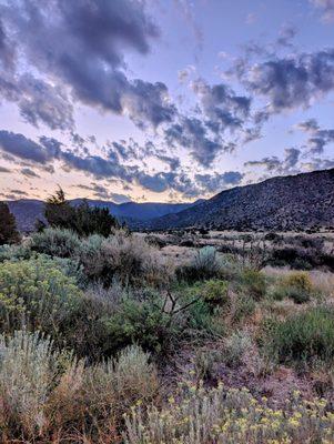 Pre-dawn in August