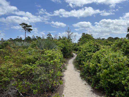 Seabranch Preserve State Park