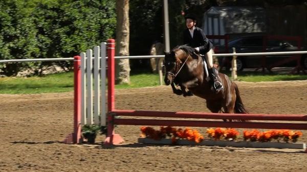 Emily Reinig on Peck Farm's Blackberry Swirl at Camelot horse show, 2014