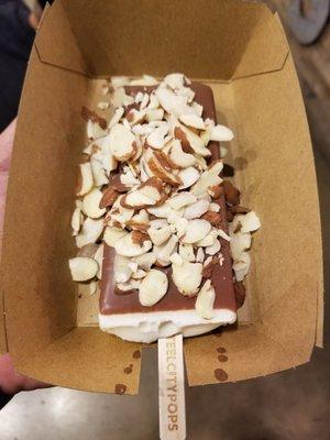 Steel City Pops - Vanilla Bean dipped in Chocolate w/ Almonds