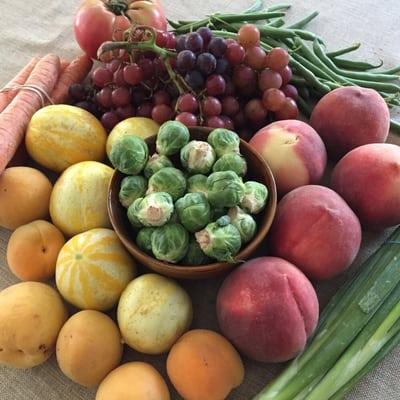 Today's haul: green beans, peaches, grapes, green onions, Brussels sprouts, lemon cucumbers, apricots, carrots, heirloom tomato.