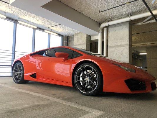 Lamborghini Huracán detailed and protected ready to hit the Houston streets.