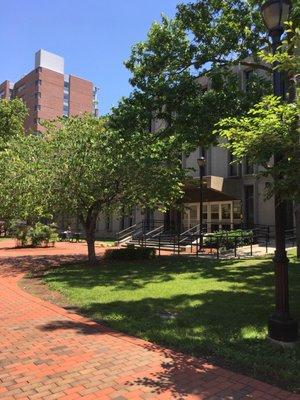 Back entrance to History Department