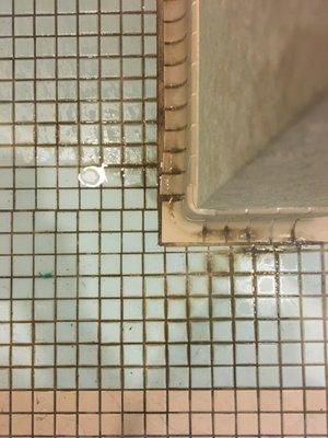 Drain in pool shower