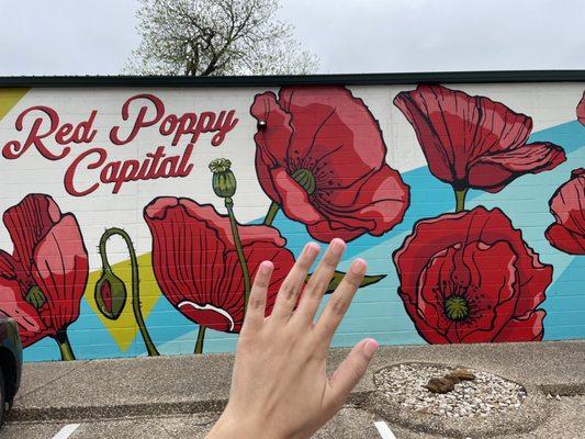 Mural across the street. Gel manicure.