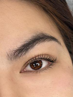 Lash Lift- last 6-8 weeks!