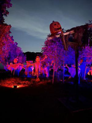 Magic of the Jack O'Lanterns