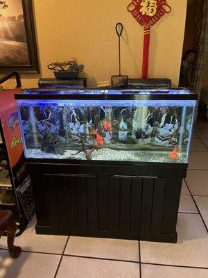 Fish tank