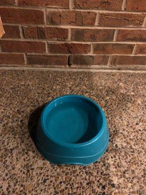 Water bowl for fur babies.