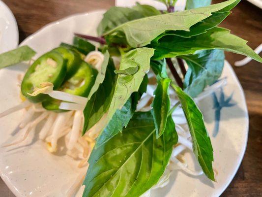 Fresh, crispy, clean, no wilting or browning basil leaves, jalapeño slices and bean sprouts