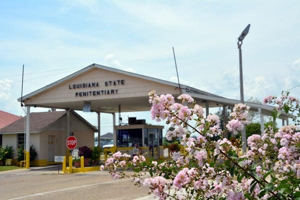 Louisiana State Penitentiary