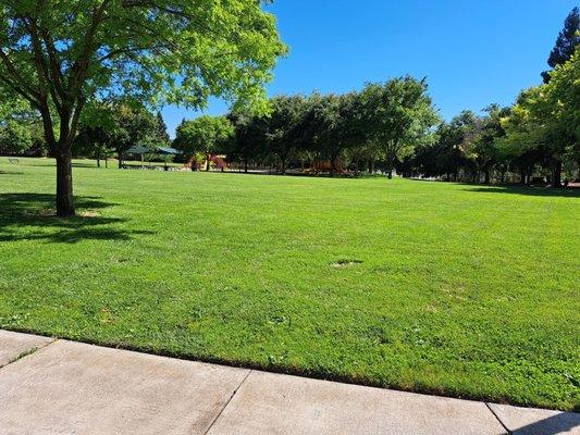 Grass, trees, and playground at Breen Park