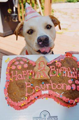 Biscotti Hound Dog Biscuit Bakery