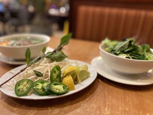 Pho Tai and Pho Veggie & Tofu