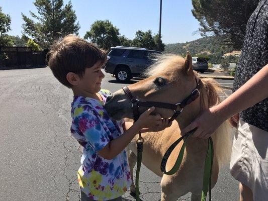 Tike, Isabella's sweet mini horse giving  kisses