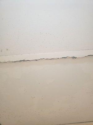 Mold, mildew around tub