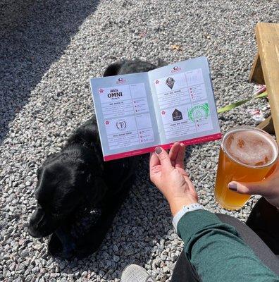 We love that Sidewalk Dog's Minneapolis-St Paul Dog-Friendly Brewery Pass brought us back out here. Great dog-friendly patio.