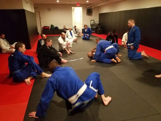 BJJ Fundamentals