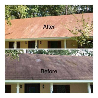 Roof Cleaning