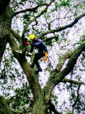 Experienced climber