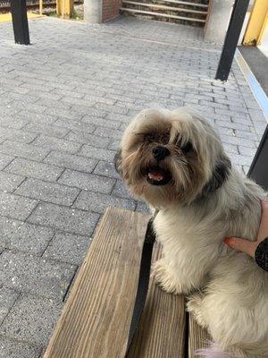 Right before his groom