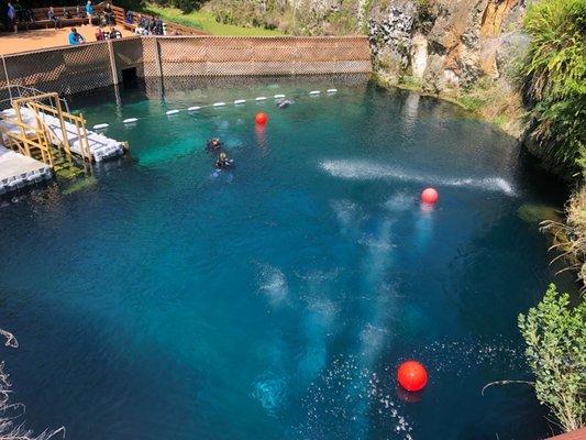 Open Water Certification at the Blue Grotto.