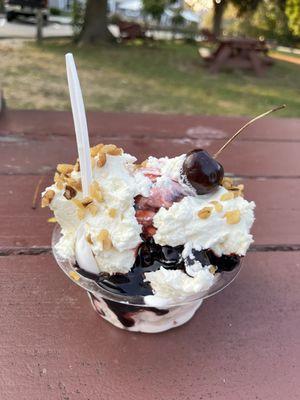 Frozen pudding ice cream with black cherry sauce and whipped cream, nuts, and a cherry