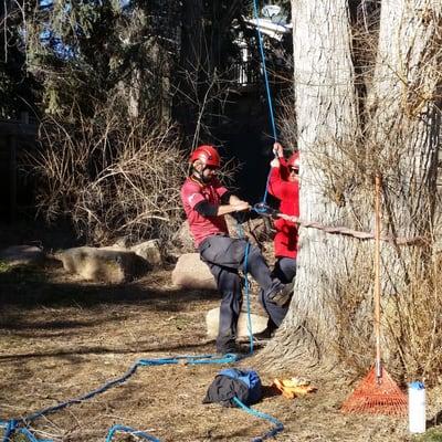 Boulder Tree Service