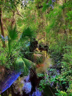 Jacksonville Arboretum