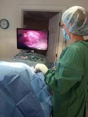 Laparoscopy provides cutting edge diagnostic and surgical capabilities.