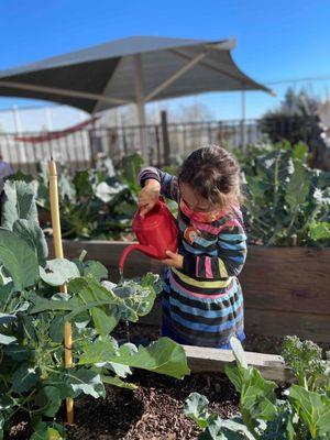 My daughter watering the garden plants.