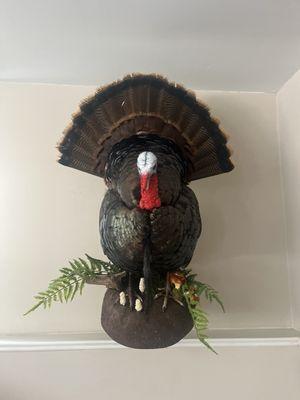 Turkey Mount