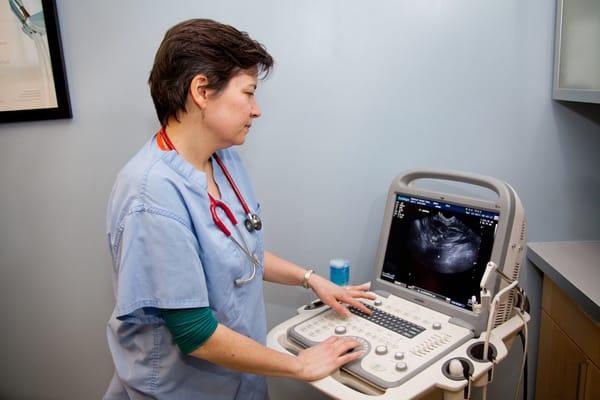 Dr. Trish Grinnell performs ultrasounds on site.