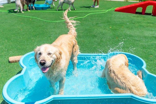 Having a blast in the pool!!