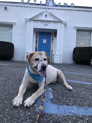 At his senior wellness exam for this almost 12year old.